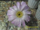 SAM_6622