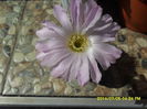 SAM_6628