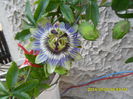 SAM_6637