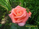 SAM_6638