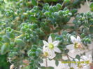 SAM_6641