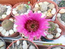 SAM_6671