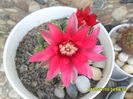 SAM_6672