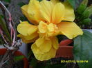 SAM_6677