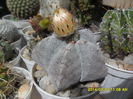 SAM_6685