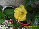 SAM_6687