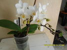 SAM_6693