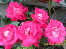 SAM_6706