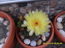 SAM_6735