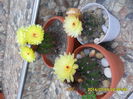 SAM_6738