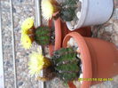 SAM_6740
