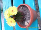 SAM_6744