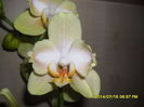 SAM_6748
