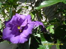 SAM_6772