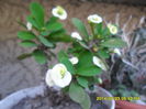 SAM_6847