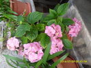 SAM_6849
