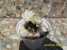 SAM_6859