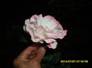 SAM_6891