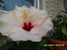 SAM_6903