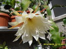 SAM_6905