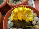 SAM_6916