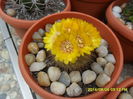 SAM_6917