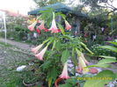 SAM_6926