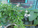 SAM_6929