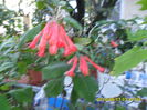 SAM_6930