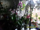 SAM_5382