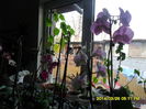 SAM_5383