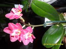 SAM_5410
