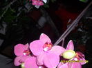 SAM_5413