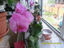 SAM_5430