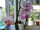 SAM_5432