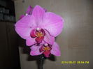 SAM_5438