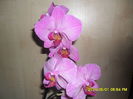 SAM_5439