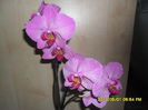 SAM_5440