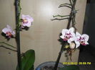 SAM_5441