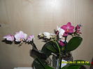 SAM_5448