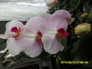 SAM_5476