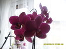 SAM_5478