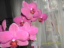 SAM_5480