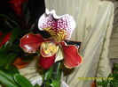 SAM_5909