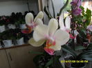 SAM_6647