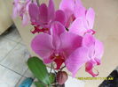 SAM_6689