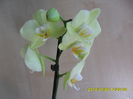 SAM_6854