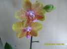 SAM_6856
