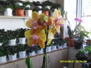 SAM_6897
