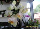 SAM_6899